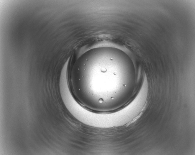 X0000066090186200603131213