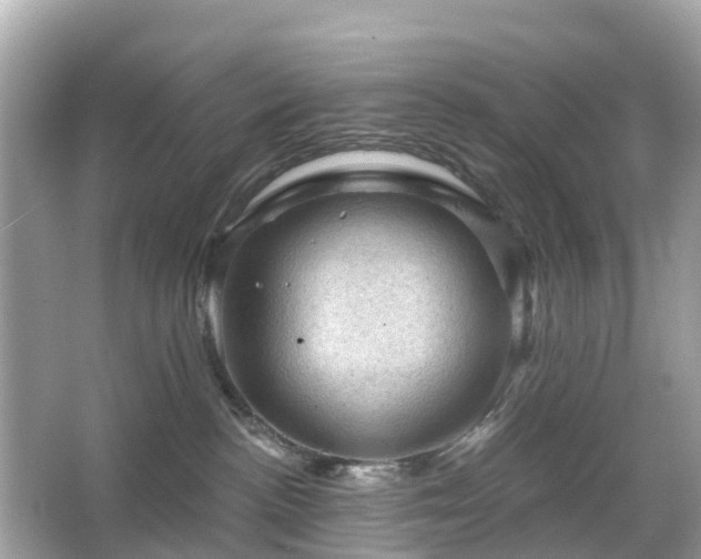 X0000066090188200603131213