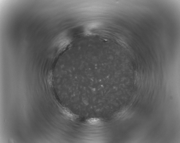 X0000066090189200603131213