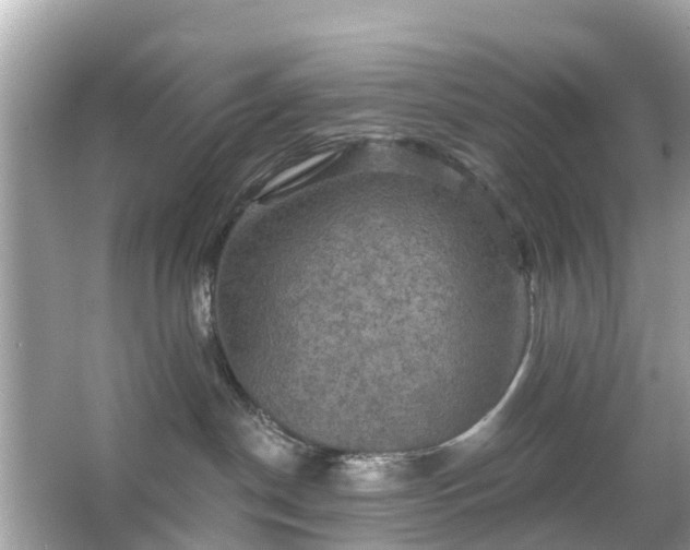 X0000066090190200603131213