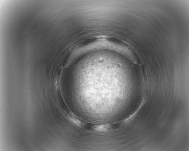 X0000066090191200603131213