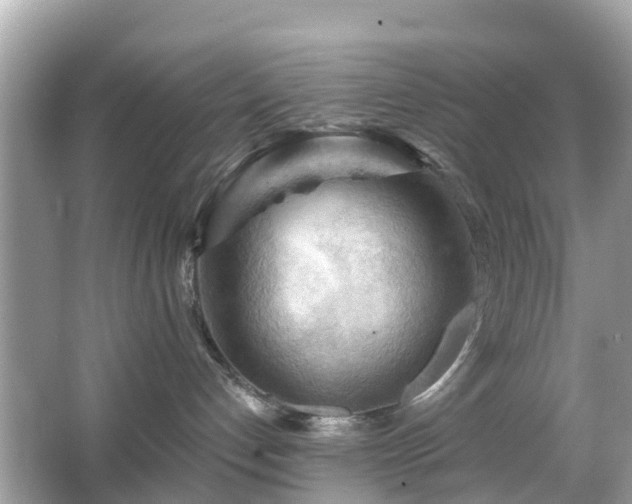 X0000066090192200603131213