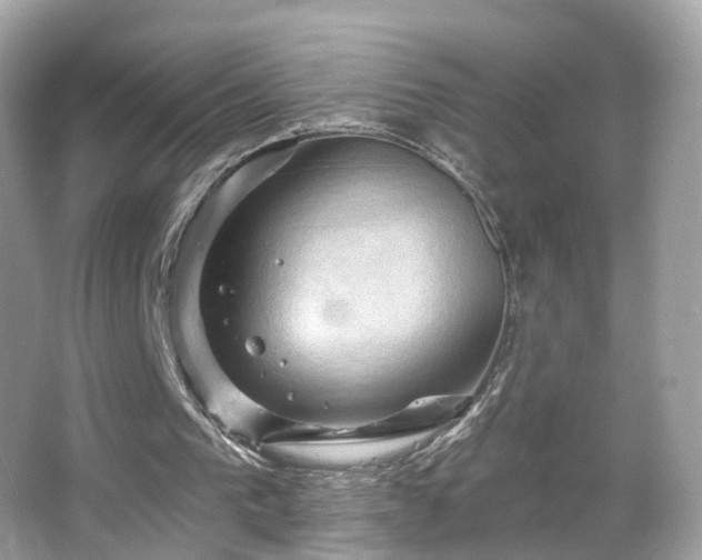 X0000066090193200603131212