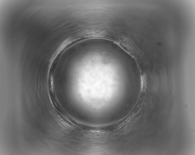 X0000066090195200603131212