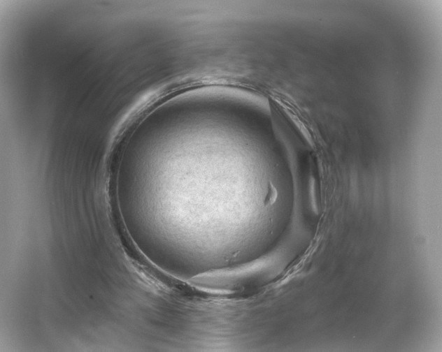 X0000066090197200603131212