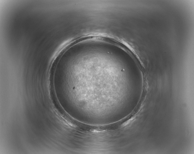 X0000066090199200603131212