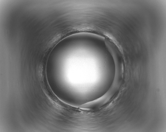 X0000066090201200603131212