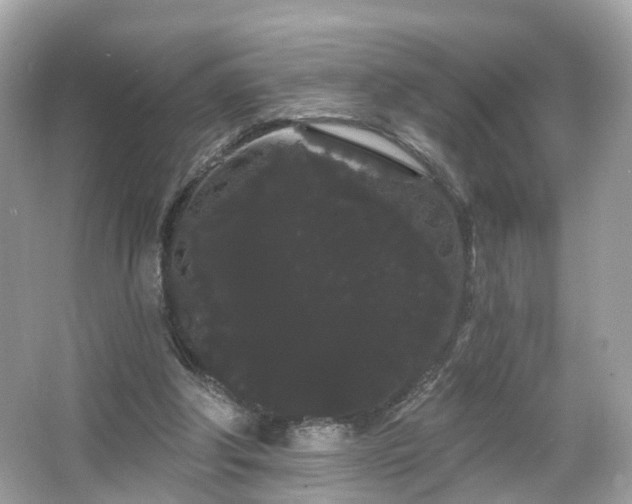 X0000066090202200603131212