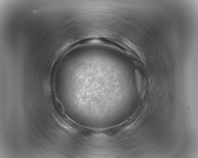 X0000066090203200603131212