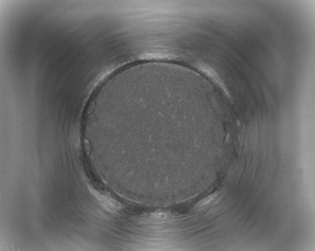 X0000066090204200603131212