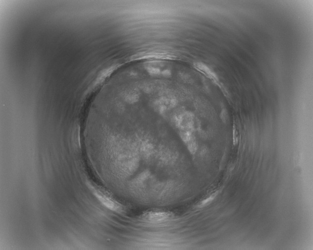 X0000066090205200603131212