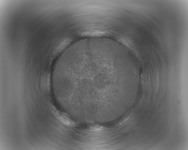 X0000066090206200603131212