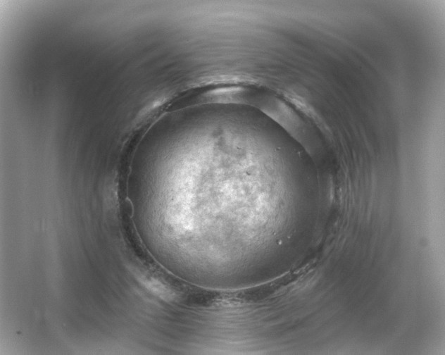 X0000066090207200603131212