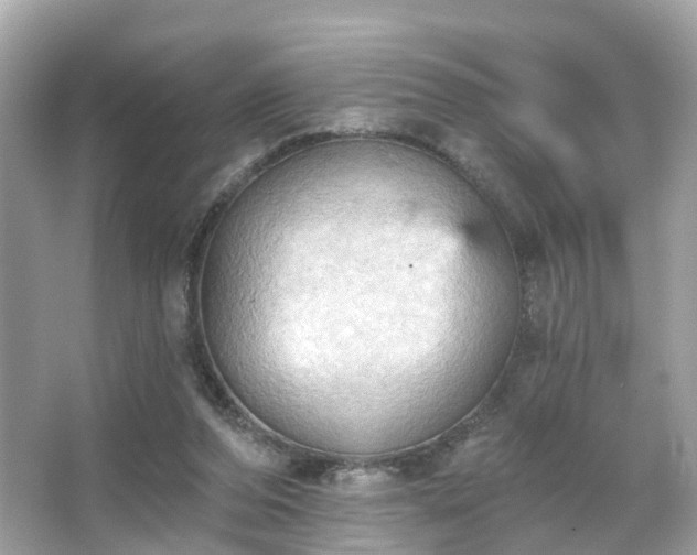 X0000066090208200603131212