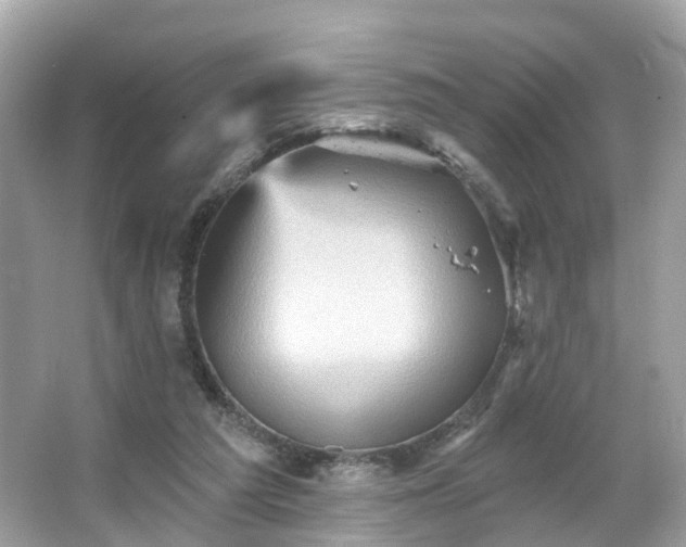 X0000066090209200603131212