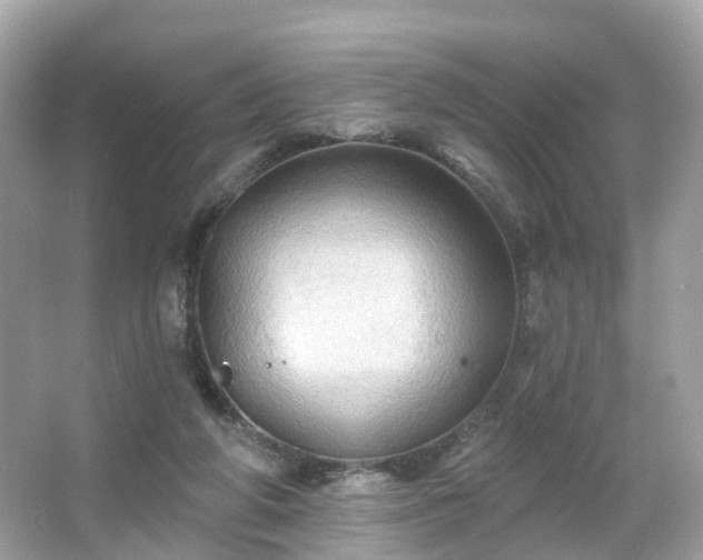 X0000066090210200603131212