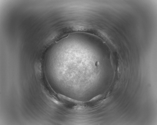 X0000066090211200603131212