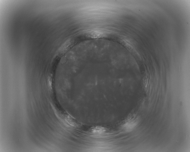 X0000066090214200603131212