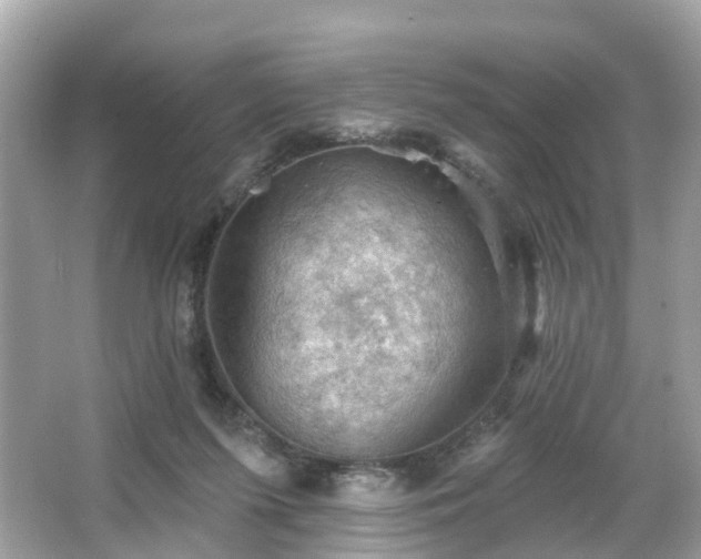 X0000066090215200603131212