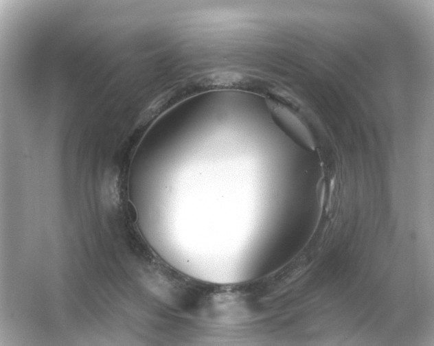 X0000066090216200603131212