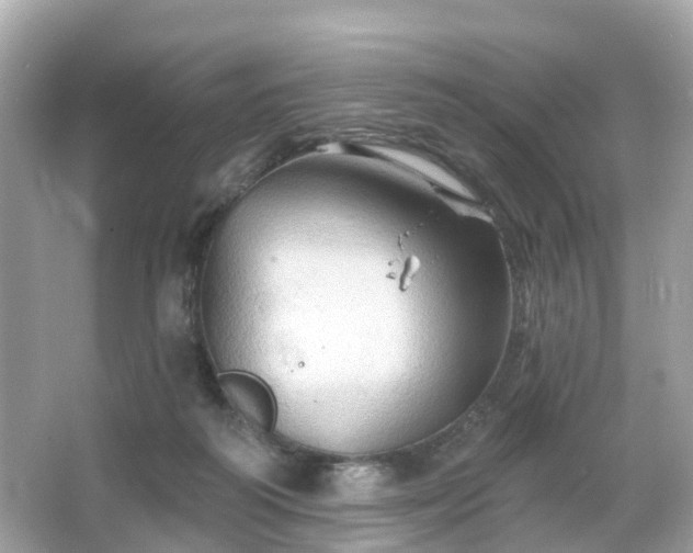 X0000066090218200603131212