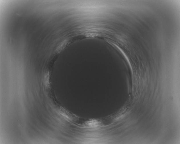 X0000066090219200603131212