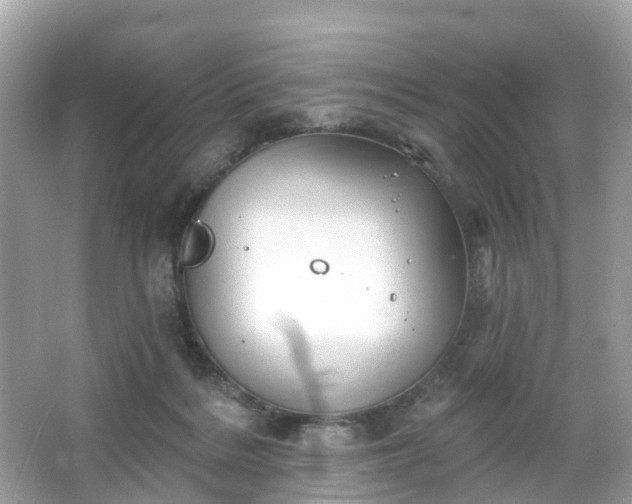 X0000066090220200603131212