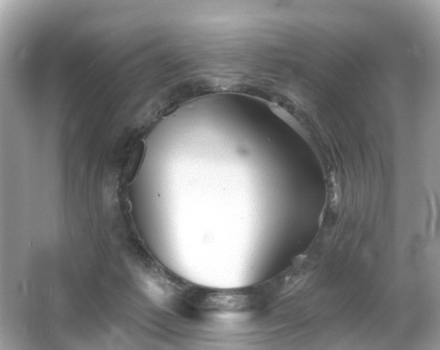 X0000066090221200603131212