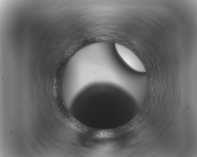 X0000066090223200603131212