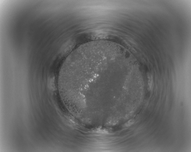 X0000066090224200603131212