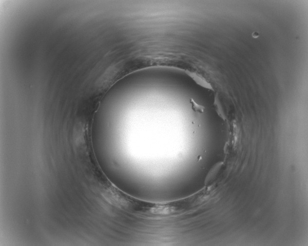 X0000066090225200603131212