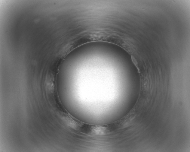 X0000066090226200603131212