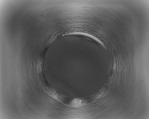 X0000066090227200603131212