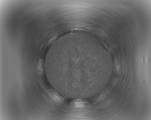 X0000066090228200603131212