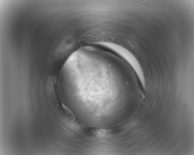 X0000066090229200603131212