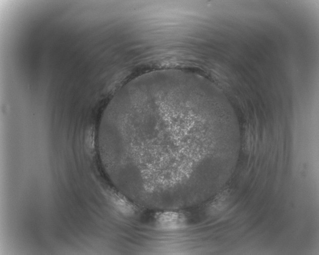 X0000066090230200603131212