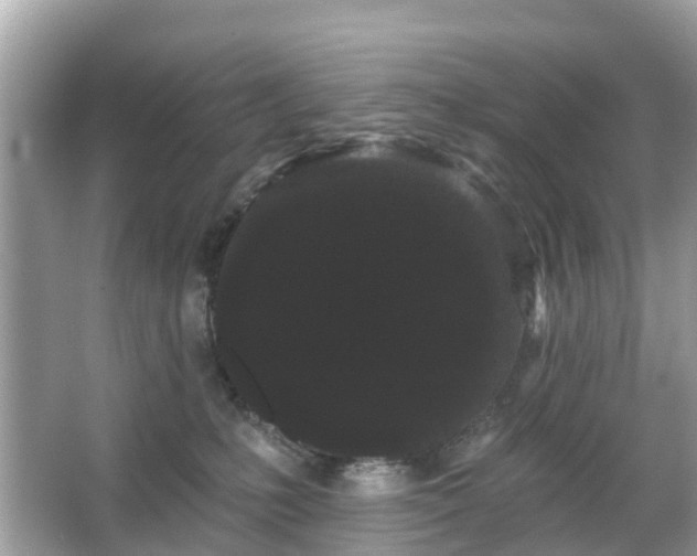 X0000066090231200603131212