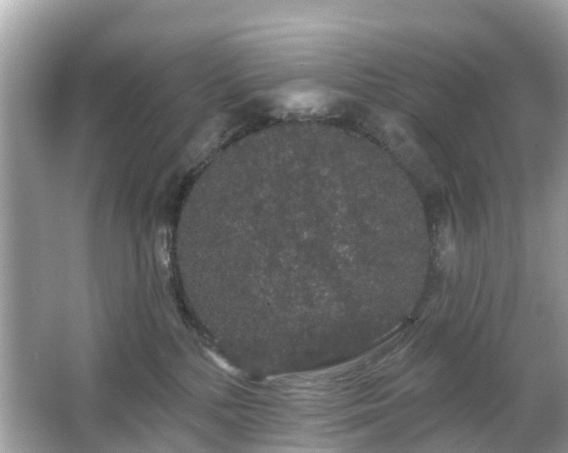 X0000066090232200603131212