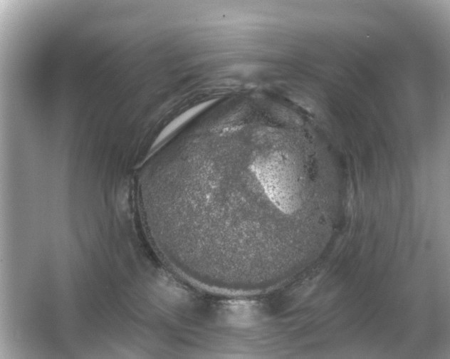 X0000066090233200603131212