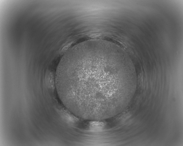 X0000066090234200603131212