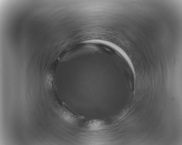 X0000066090235200603131212