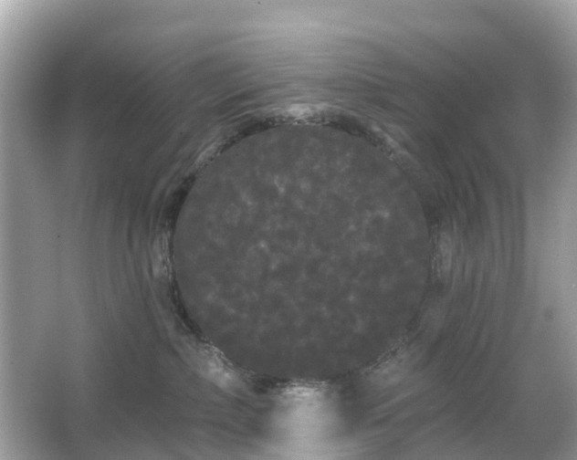 X0000066090236200603131212