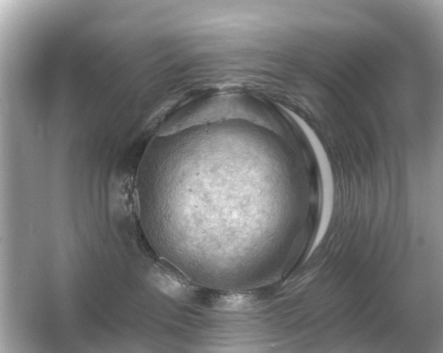 X0000066090237200603131212