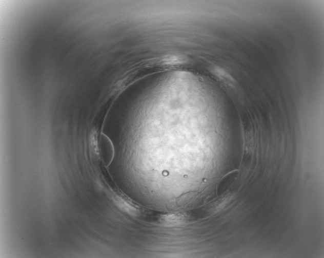 X0000066090238200603131212