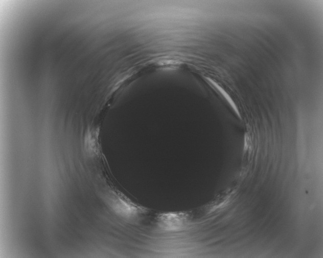 X0000066090239200603131212