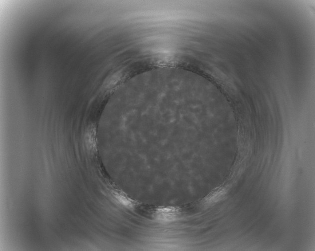 X0000066090240200603131212