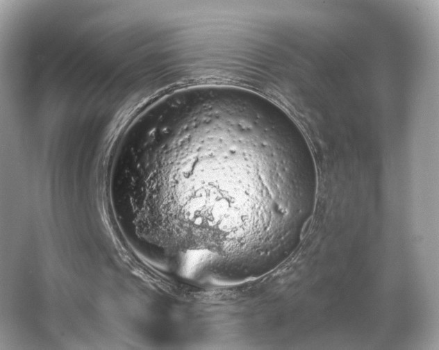 X0000066090241200603131211