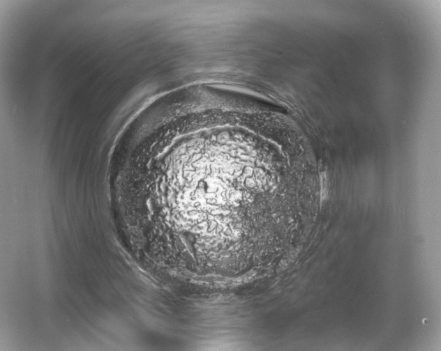 X0000066090243200603131211