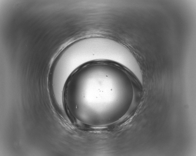 X0000066090244200603131211