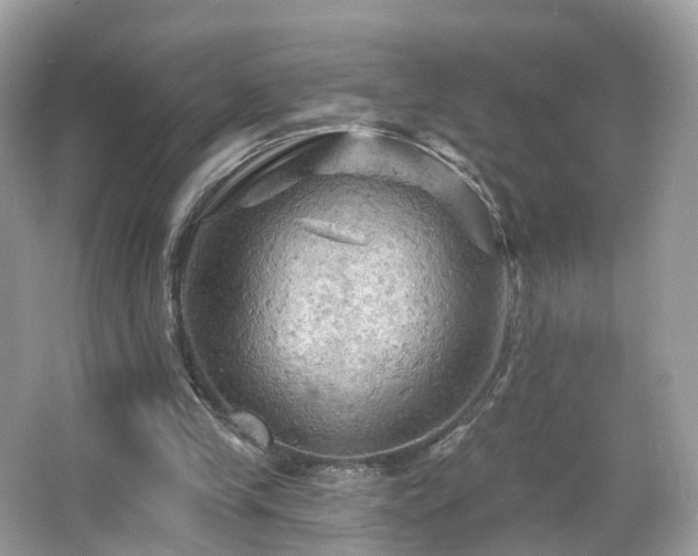 X0000066090245200603131211